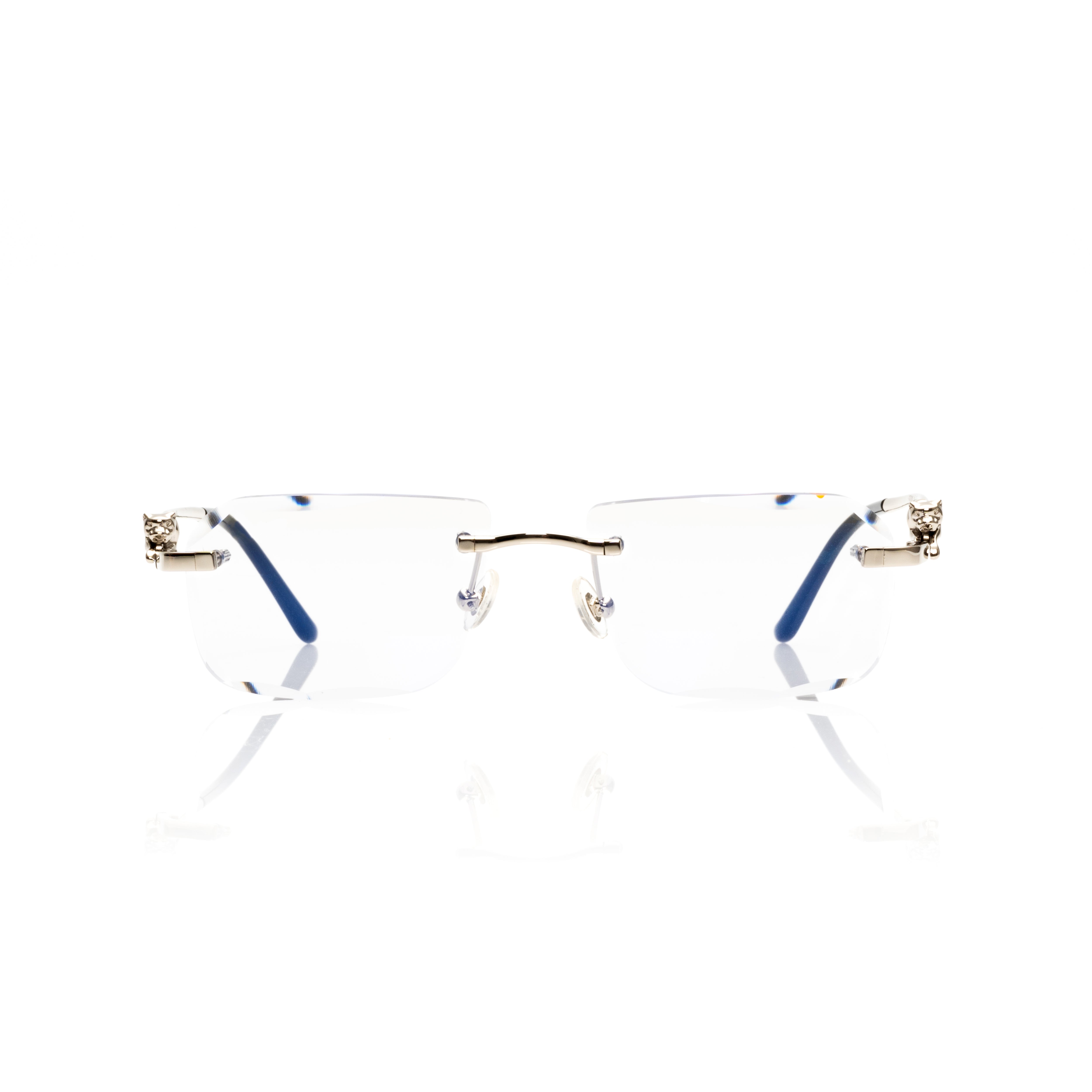 CT-21 Poly