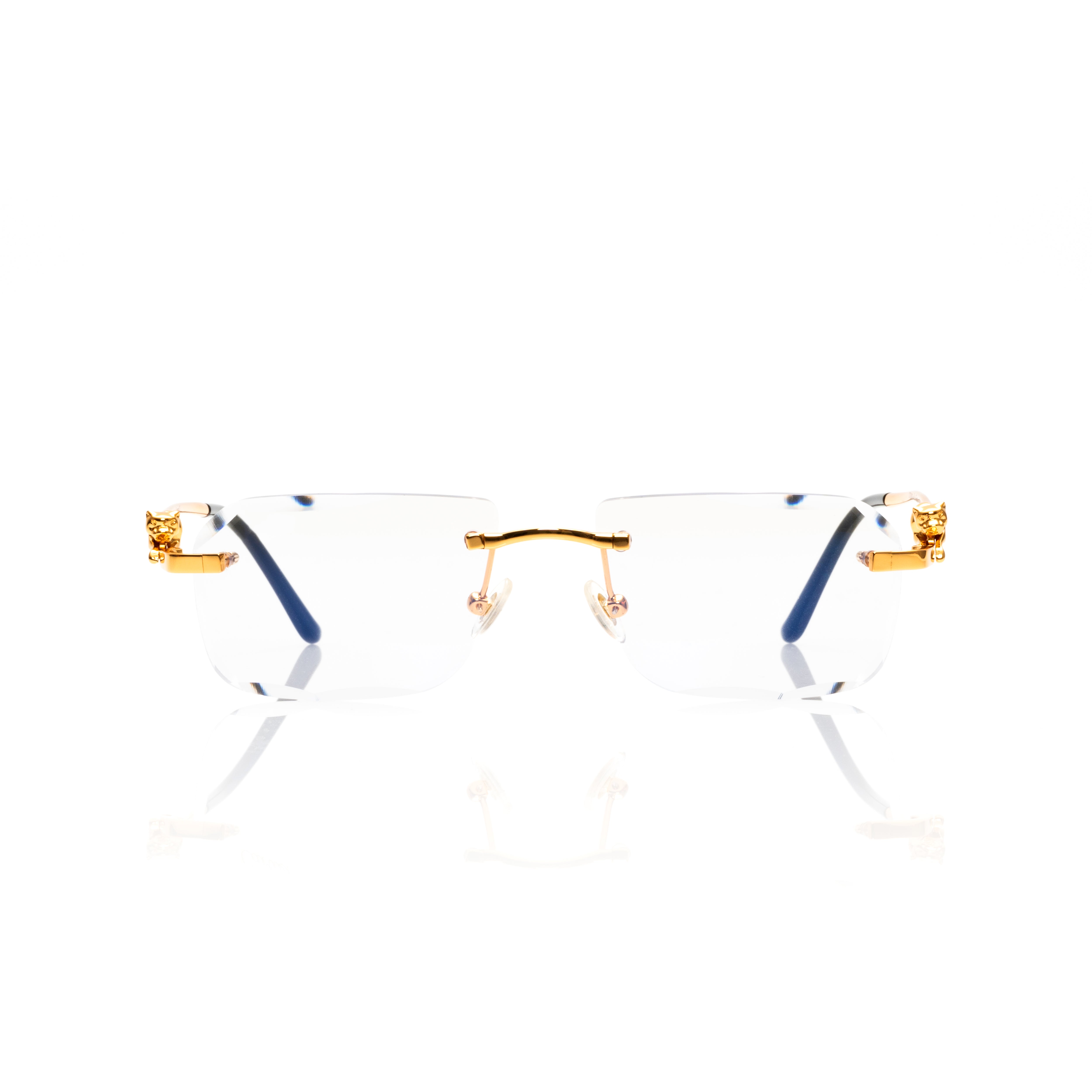CT-21 Poly